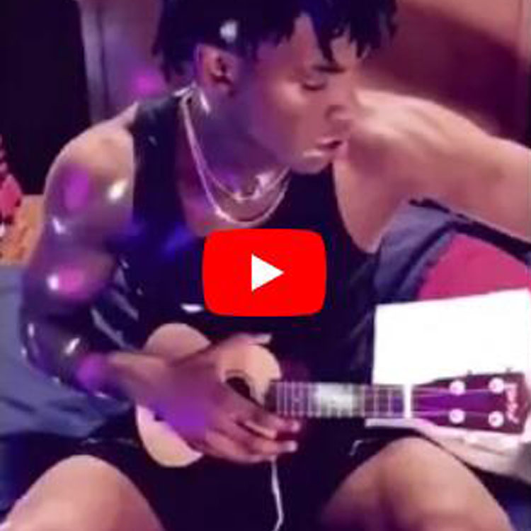 Everjoys Ukulele Introduction