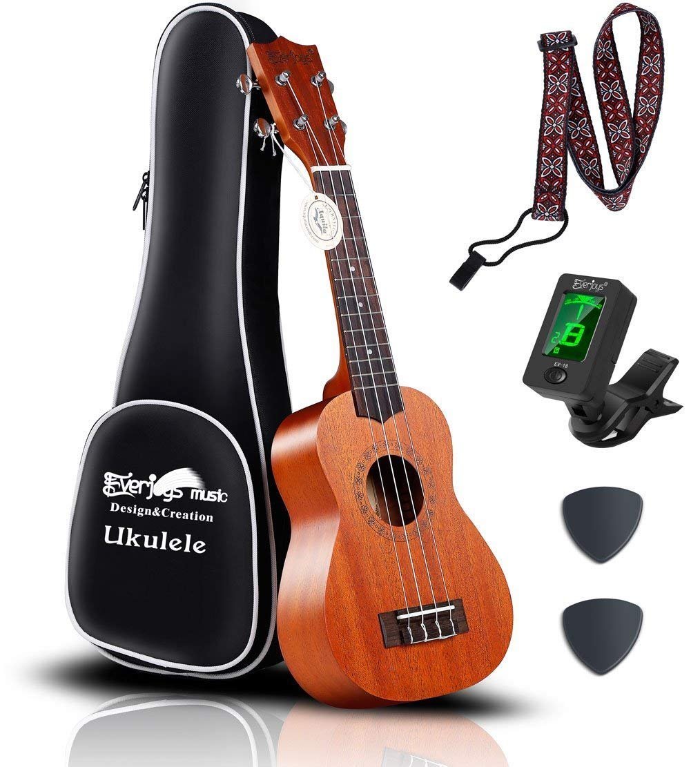 Mahogany Soprano Ukulele Kit - Professional 21 inch w/Case Strap Tuner Aquila Strings EVUKP02