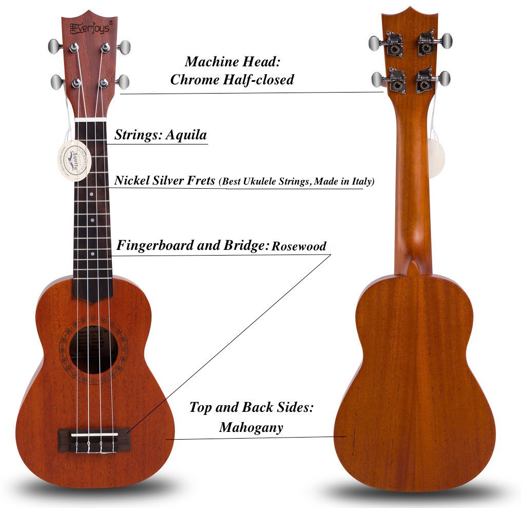 Mahogany Soprano Ukulele Kit - Professional 21 inch w/Case Strap Tuner Aquila Strings EVUKP02