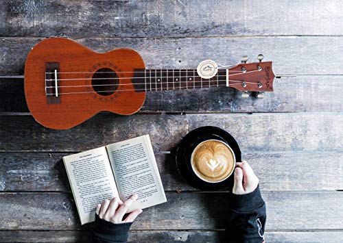 Mahogany Soprano Ukulele Kit - Professional 21 inch w/Case Strap Tuner Aquila Strings EVUKP