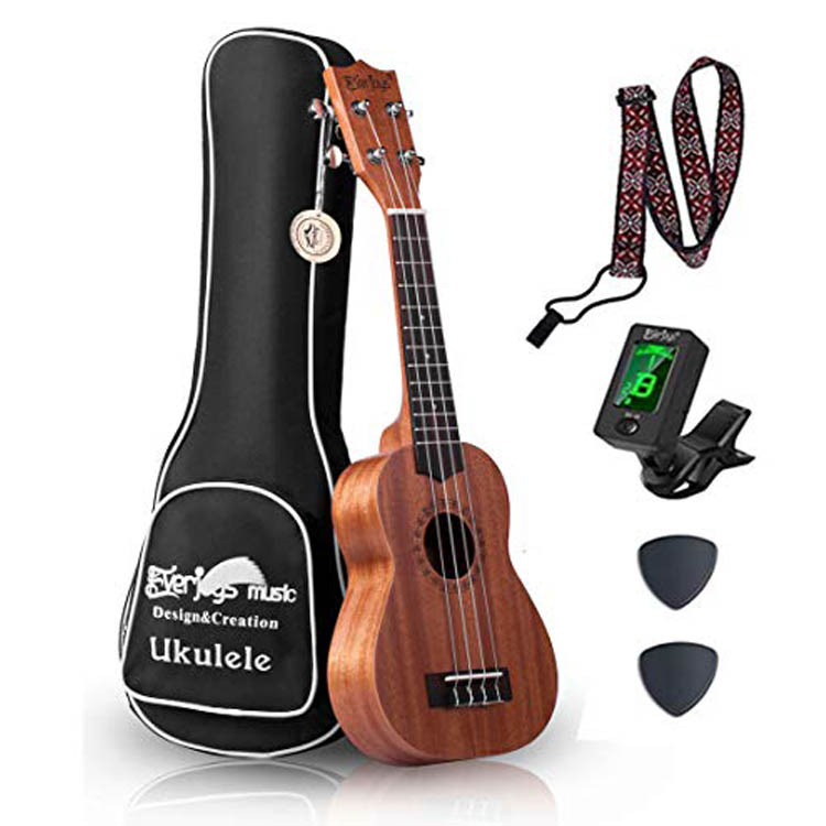 Mahogany Soprano Ukulele Kit - Professional 21 inch w/Case Strap Tuner Aquila Strings EVUKP