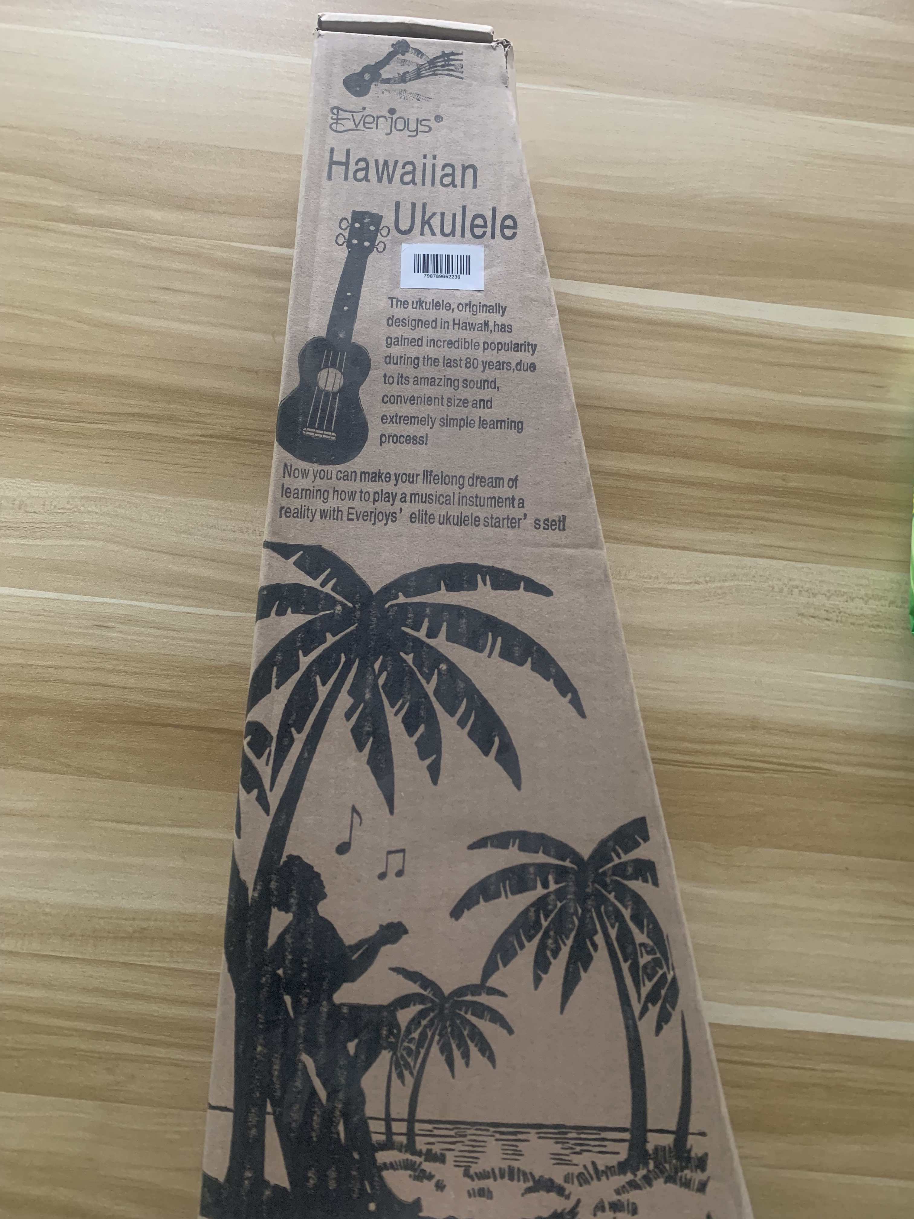 Mahogany Soprano Ukulele Kit - Professional 21 inch w/Case Strap Tuner Aquila Strings EVUKP