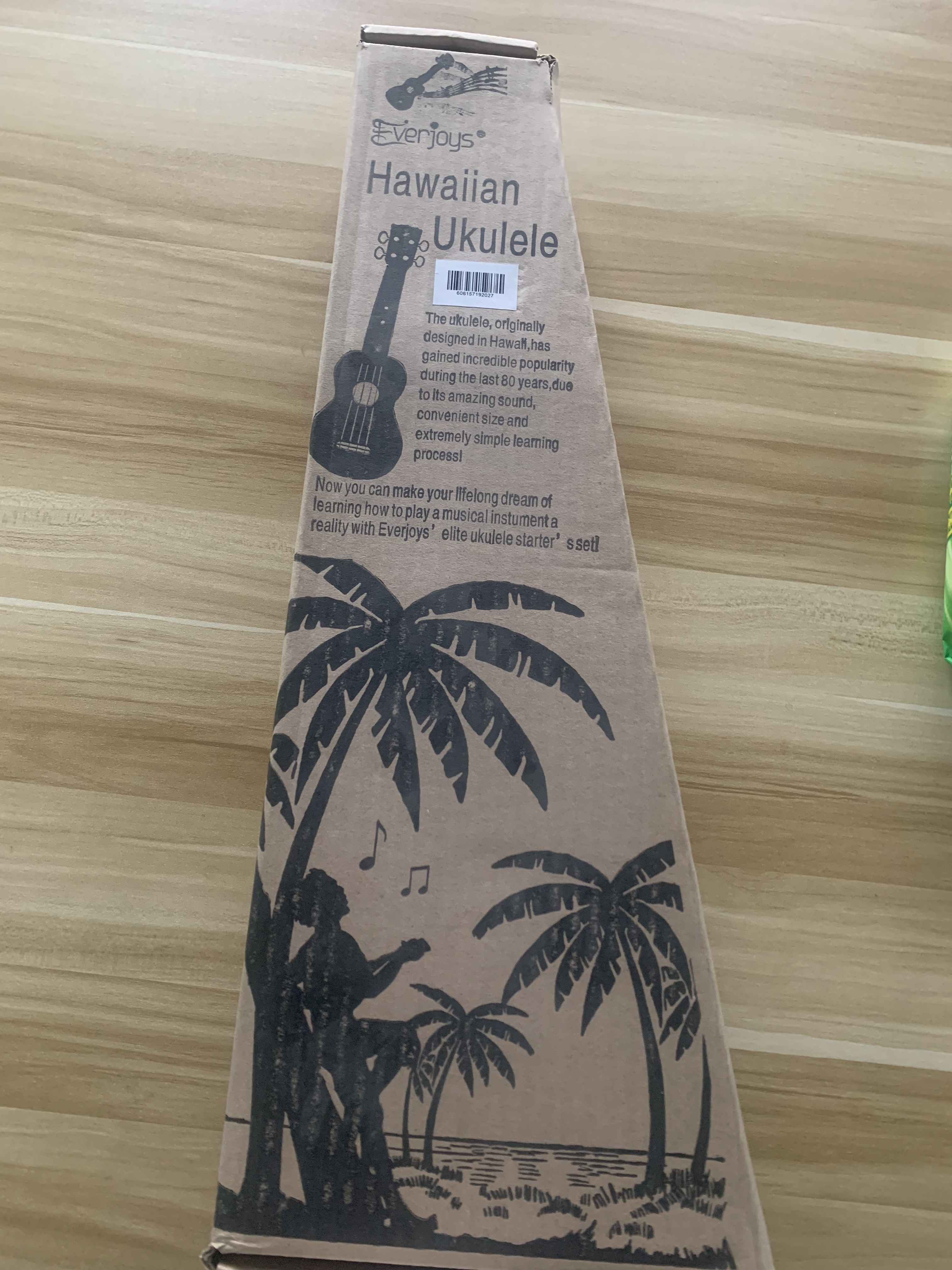 Soprano Ukulele Beginner Pack-21 Inch w/ Gig Bag Songbook Digital Tuner