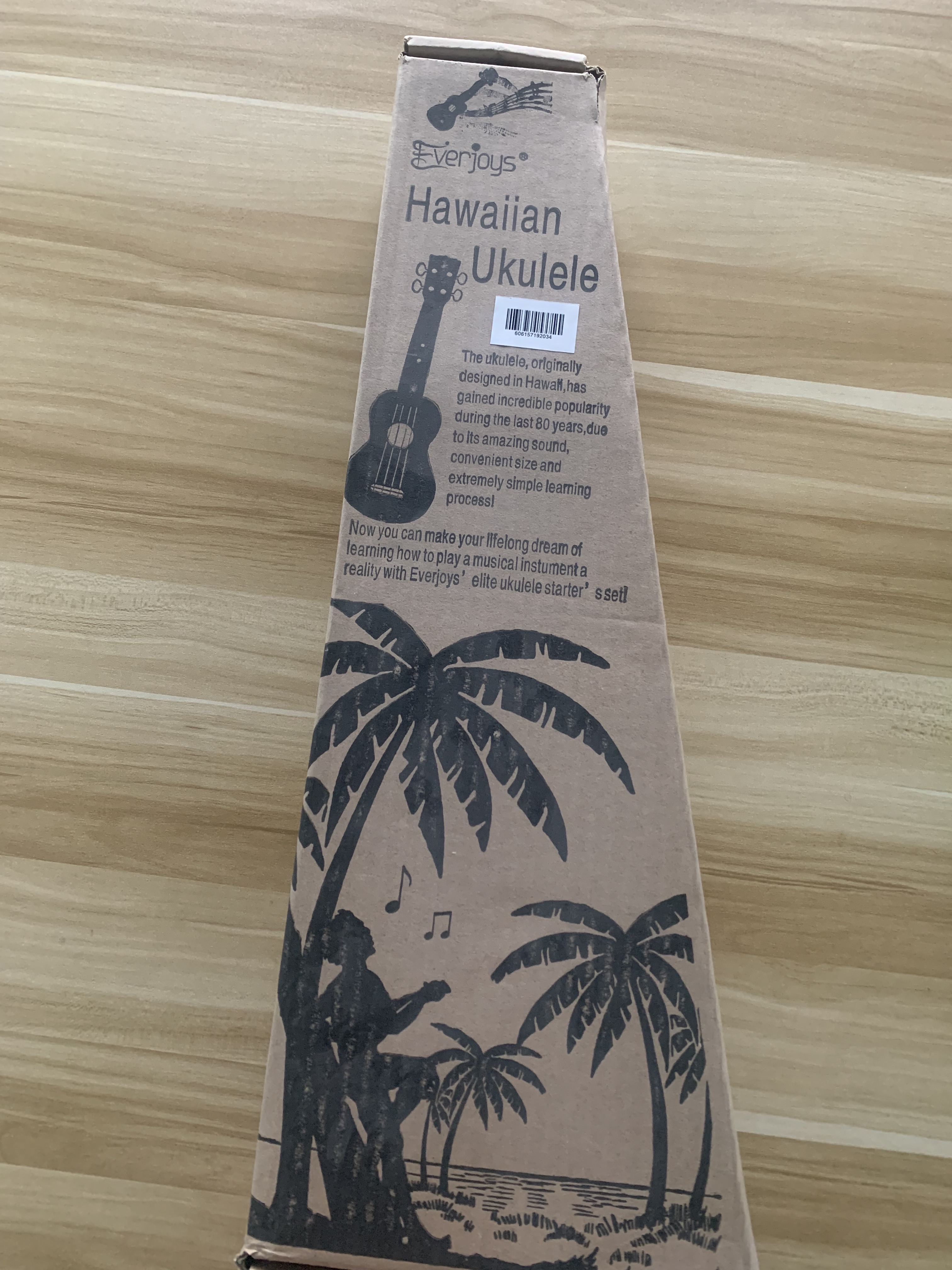 Soprano Ukulele Beginner Pack-21 Inch w/ Gig Bag Songbook Digital Tuner